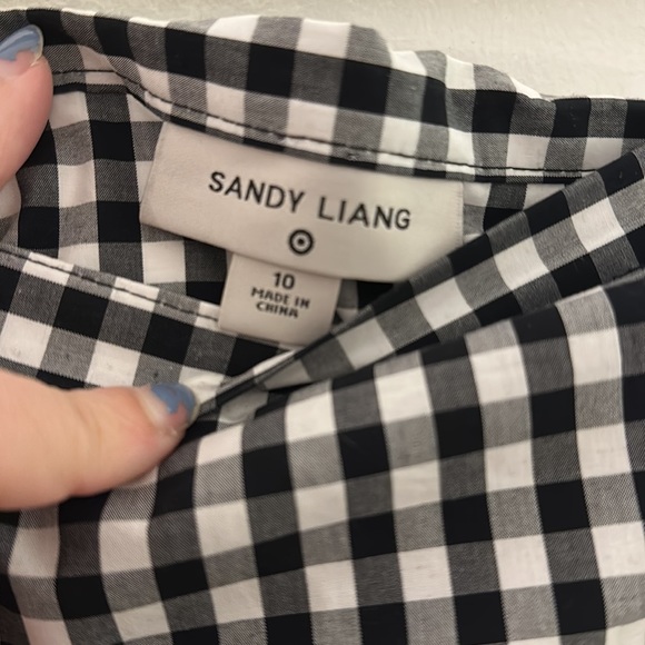 Sandy Liang for Target sold out gingham midi skirt. Size L. - Picture 3 of 3